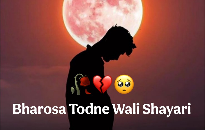 Bharosa Todne Wali Shayari - भरोसा तोड़ने वाली शायरी